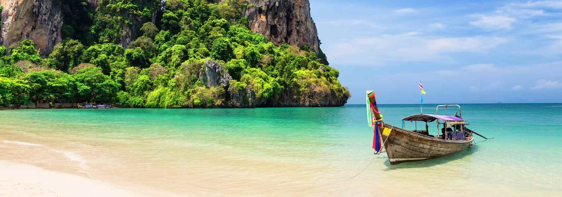 tick borne encephalitis vaccine